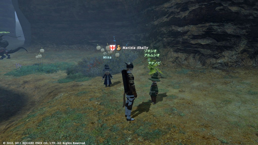 FFXIV_1301124716_0326_a05