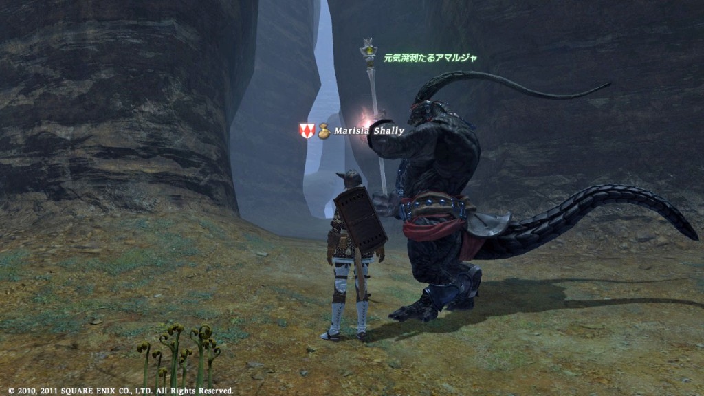 FFXIV_1301124737_0326_a06