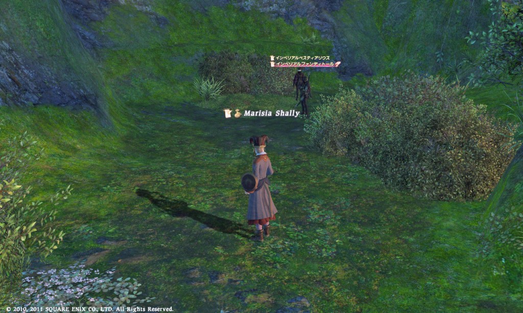 FFXIV_1311780790_0727_b01