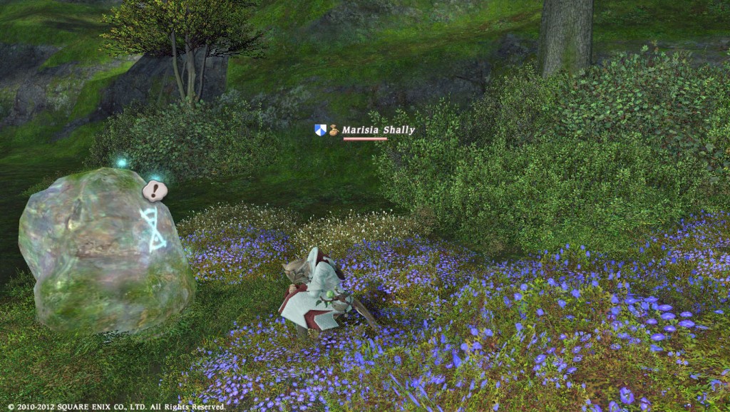 FFXIV_1347896052_0918_a02