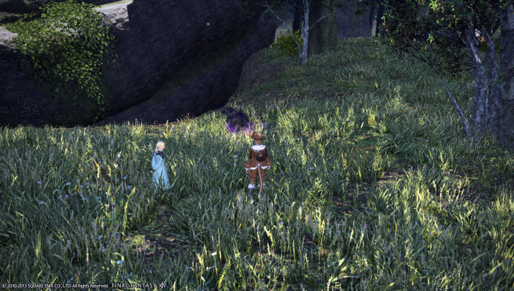 ffxiv_20131013_213257_20131013_b06