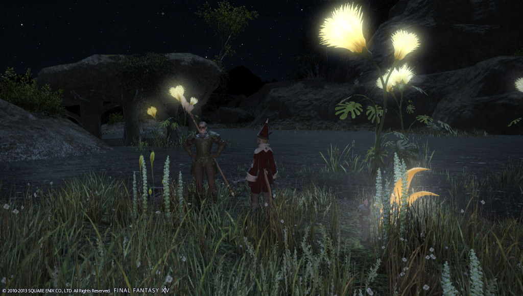 ffxiv_20131215_173038_20131215_a10