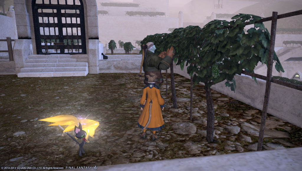 ffxiv_20131222_230314_20131222_b06