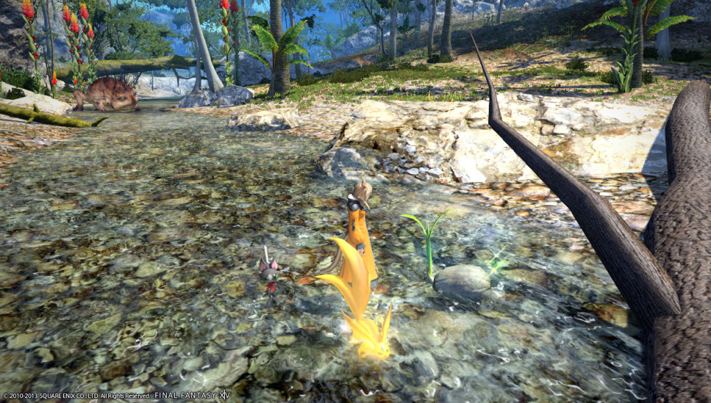 ffxiv_20131222_235312_20131222_b13