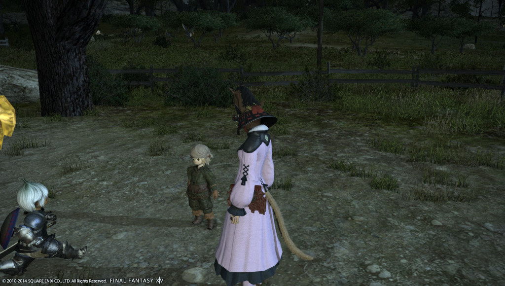 ffxiv_20140101_125453_20140101_a12