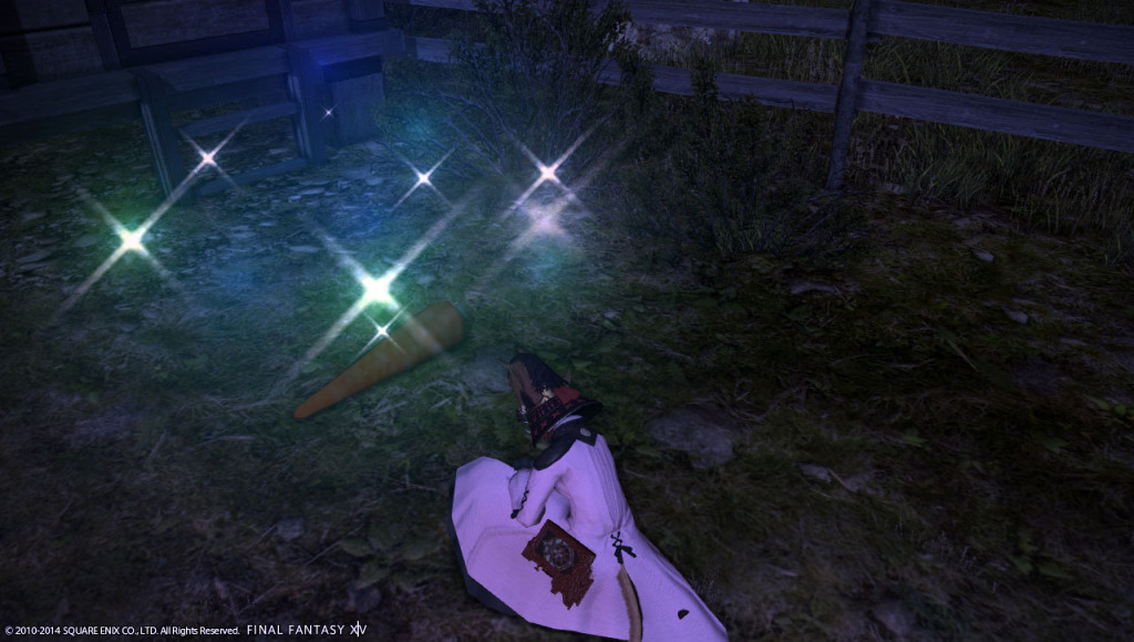 ffxiv_20140101_125848_20140101_a13