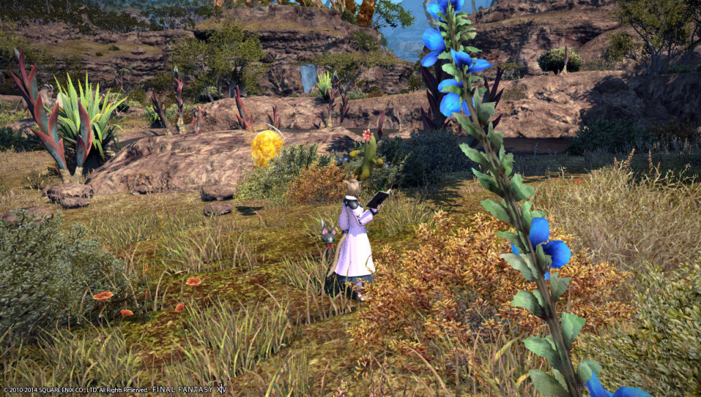 ffxiv_20140102_212354_20140102_a07
