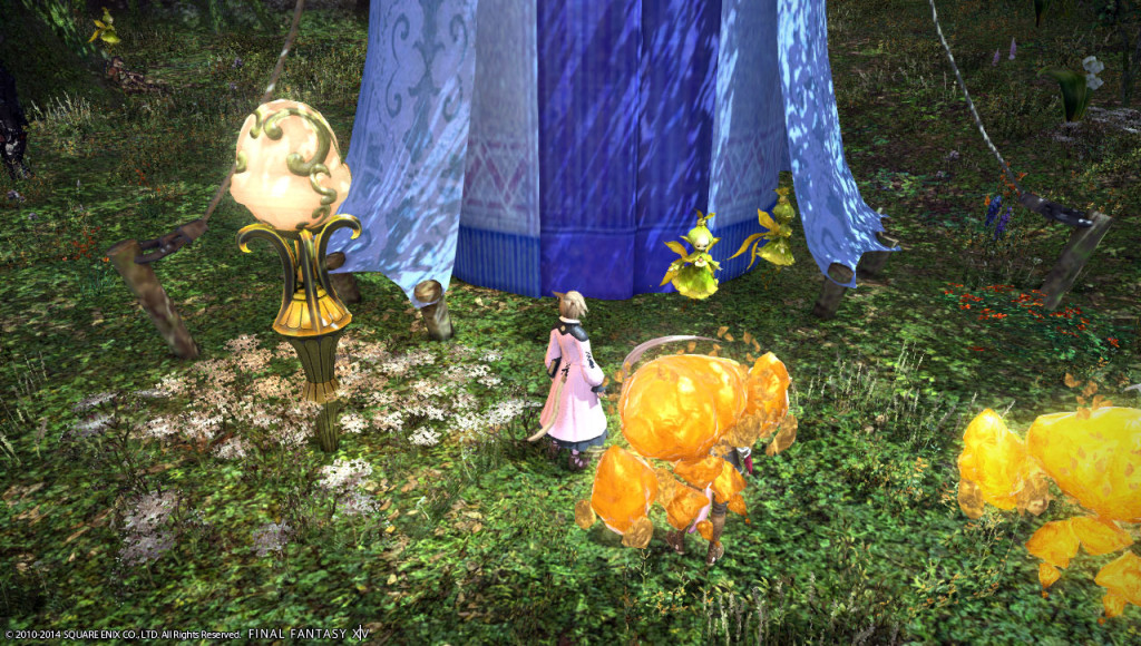 ffxiv_20140102_221851_20140102_a12