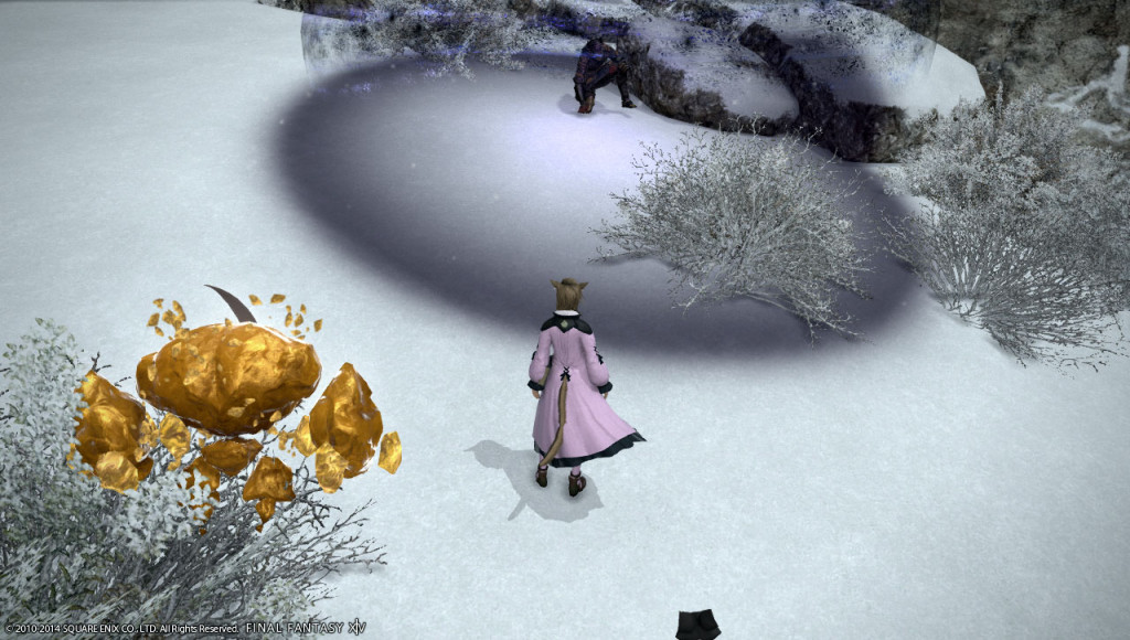 ffxiv_20140102_233324_20140102_b05