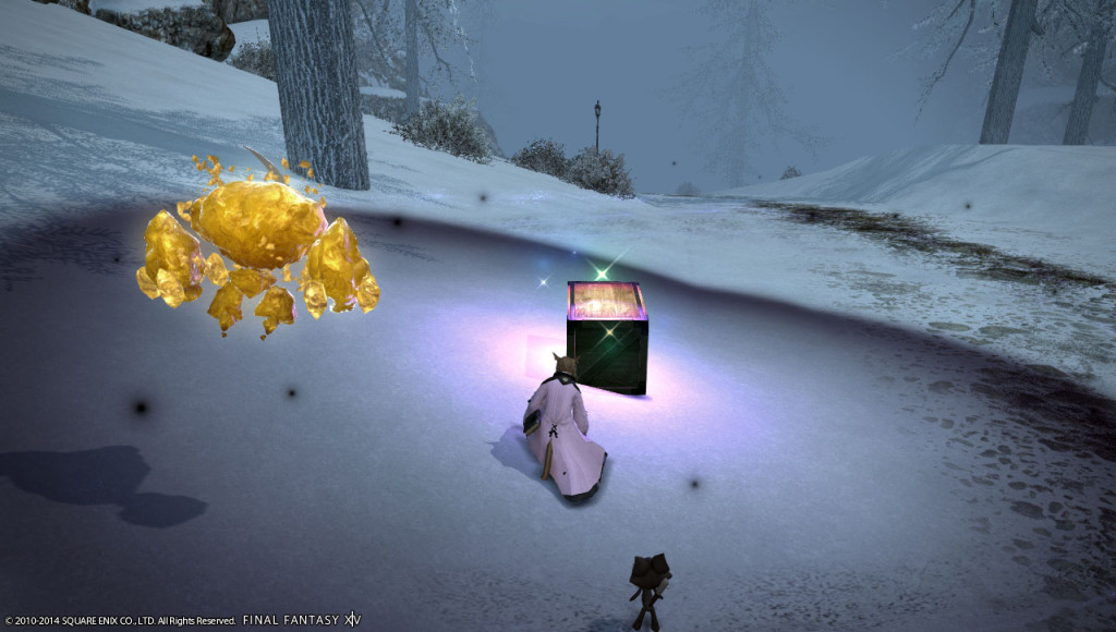 ffxiv_20140103_145831_20140103_a06