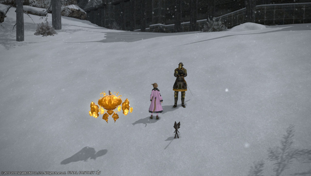 ffxiv_20140103_154902_20140103_a10