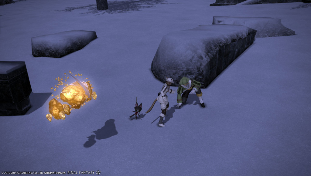 ffxiv_20140111_121430_20140111_a07
