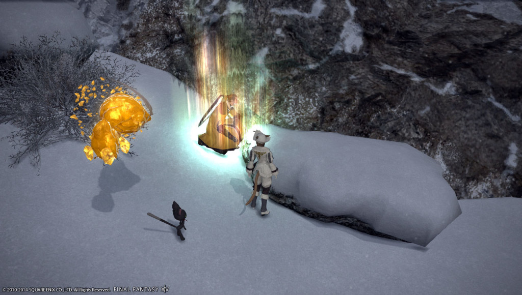 ffxiv_20140111_124349_20140111_a12