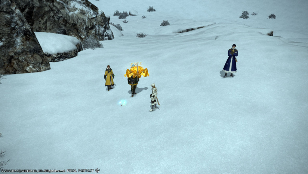 ffxiv_20140111_125228_20140111_a14