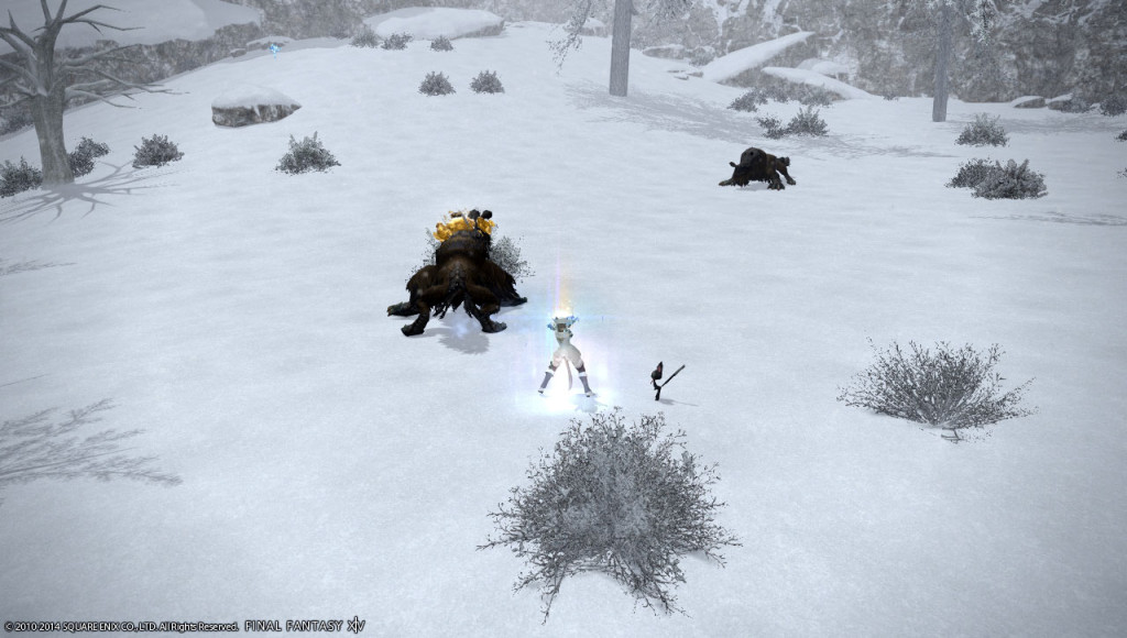ffxiv_20140112_225122_20140112_a06