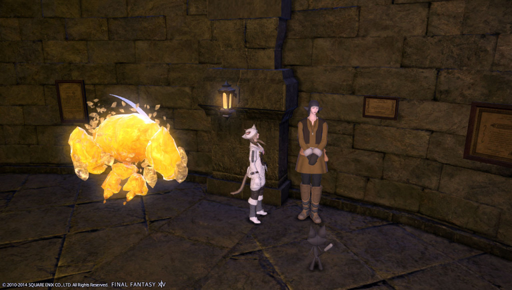 ffxiv_20140112_230137_20140112_a08