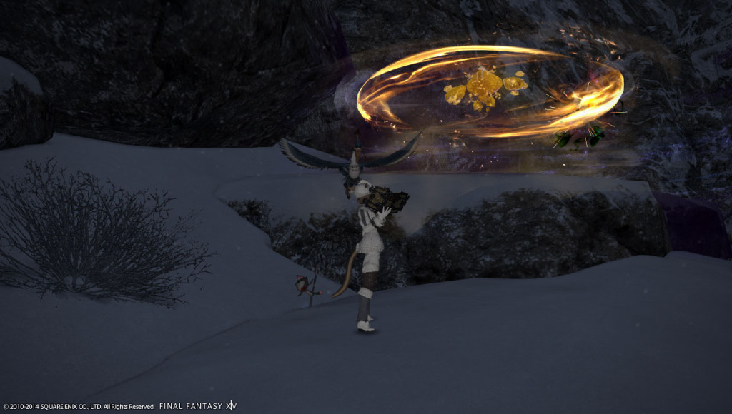 ffxiv_20140112_230554_20140112_a10