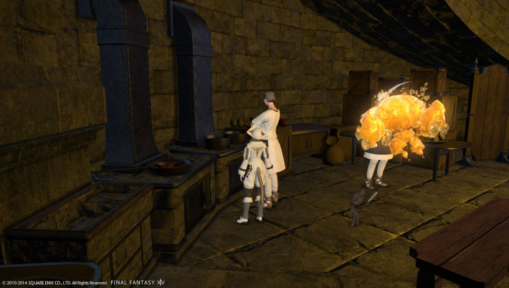 ffxiv_20140112_231937_20140112_a11