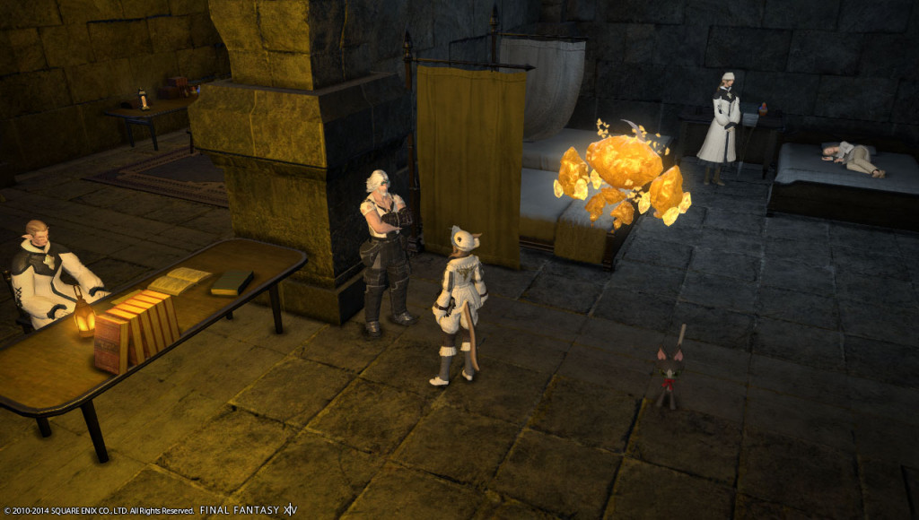 ffxiv_20140112_235648_20140112_a19