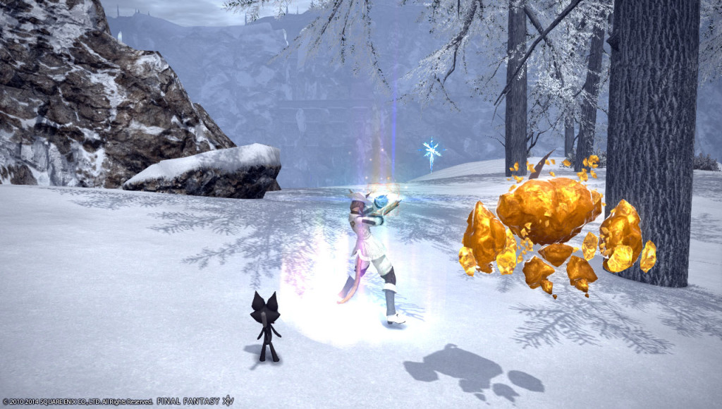 ffxiv_20140112_235922_20140112_a20