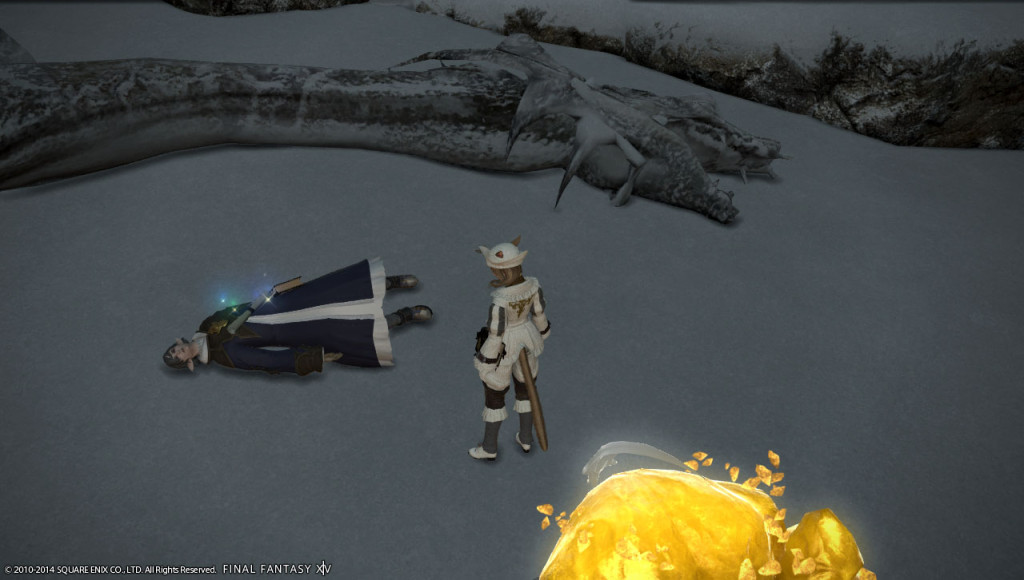 ffxiv_20140113_005030_20140113_a09