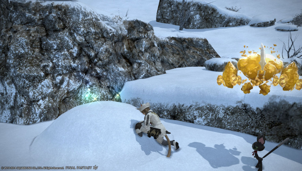 ffxiv_20140113_010851_20140113_a12