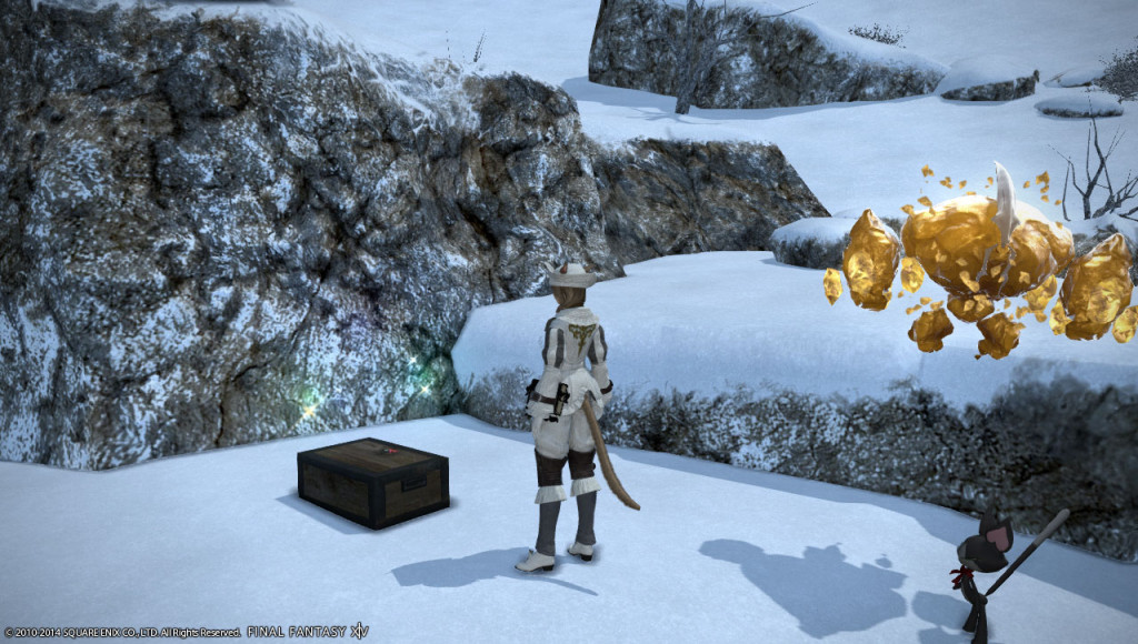 ffxiv_20140113_010856_20140113_a13