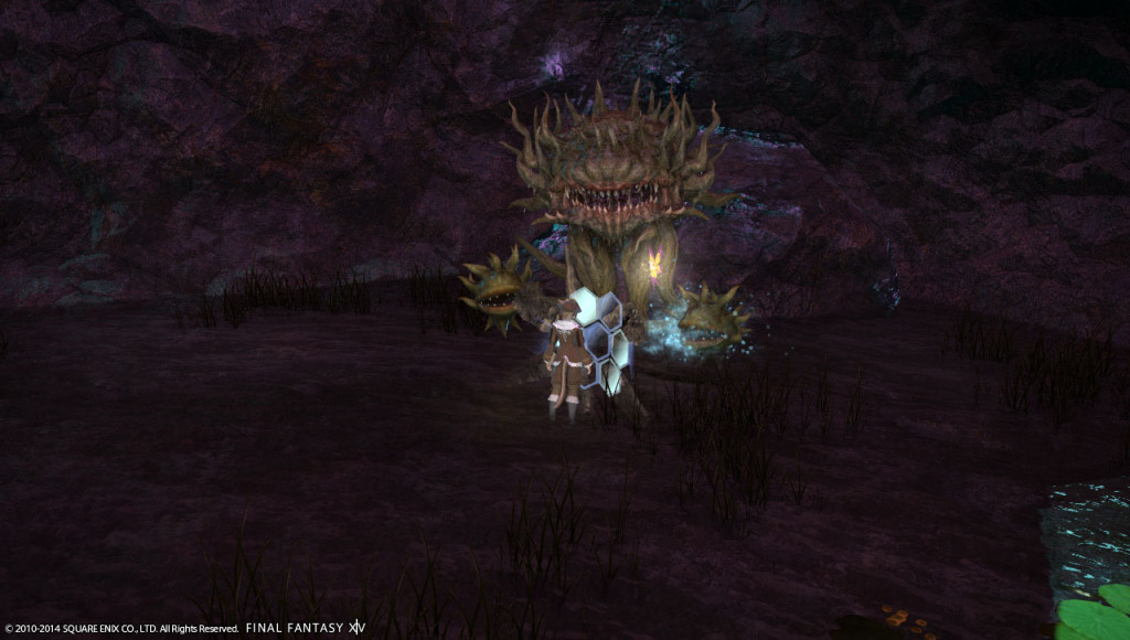 ffxiv_20140128_230626_20140128_a03