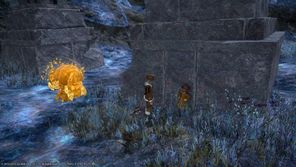 ffxiv_20140130_222522_20140130_a05