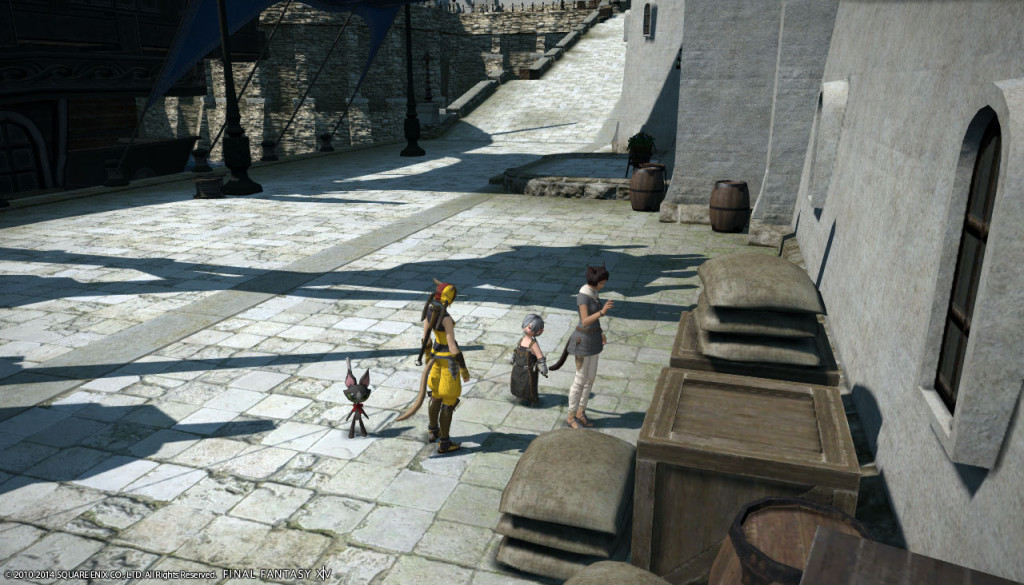 ffxiv_20140201_115609_20140201_b06