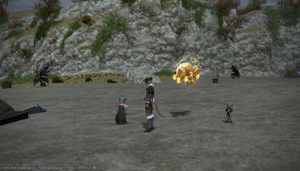 ffxiv_20140201_125038_20140201_b12