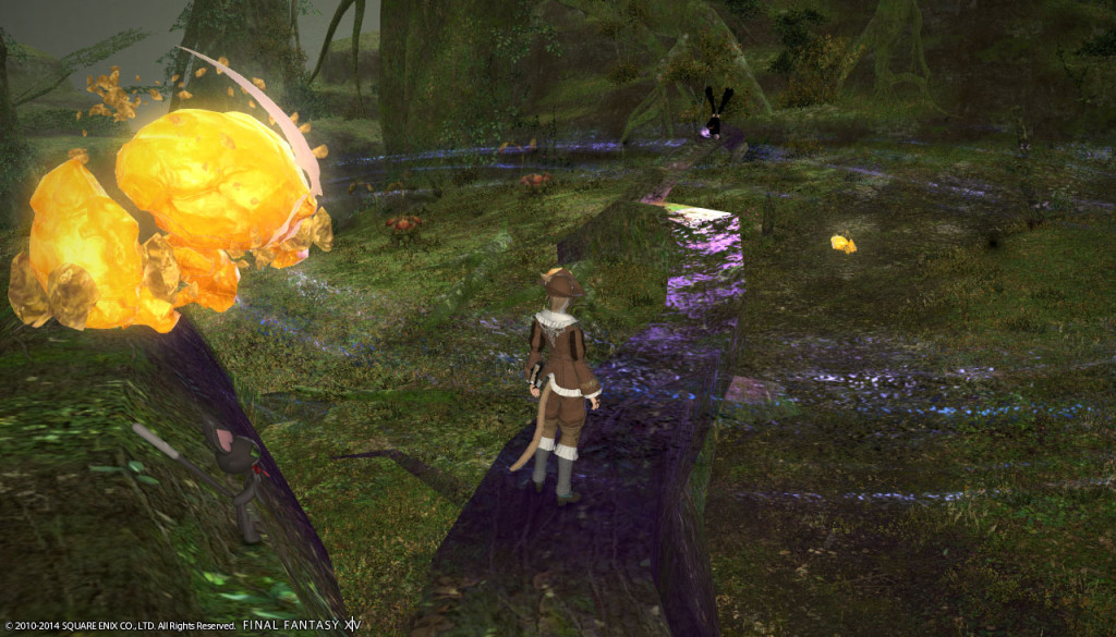ffxiv_20140201_141015_20140201_c04