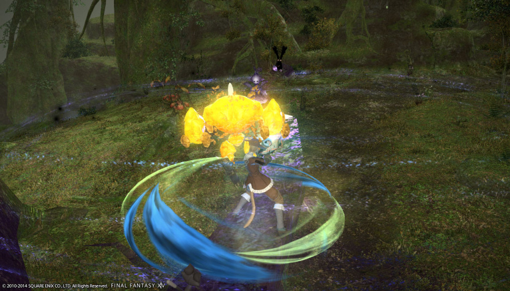 ffxiv_20140201_141029_20140201_c05