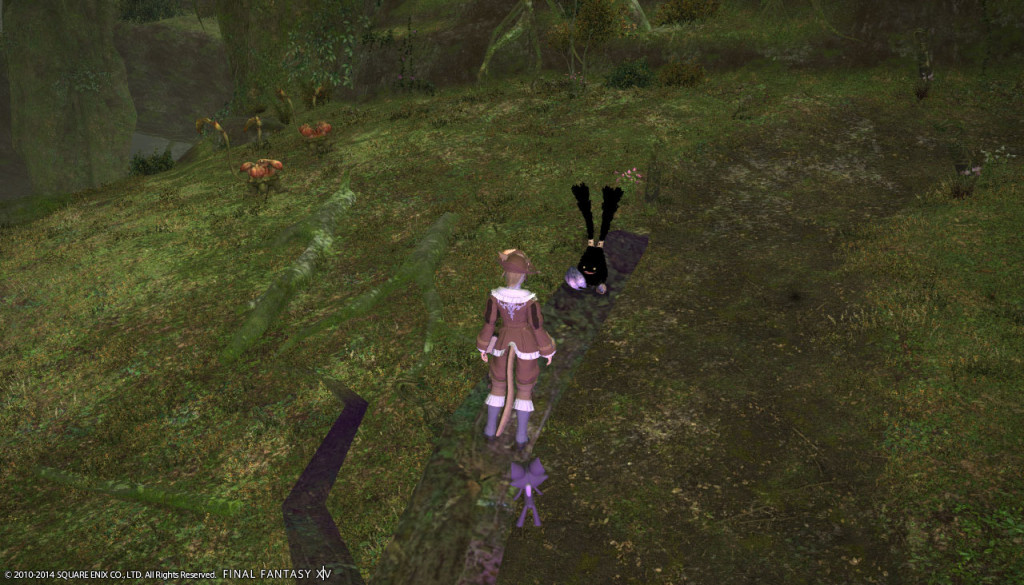 ffxiv_20140201_141105_20140201_c06