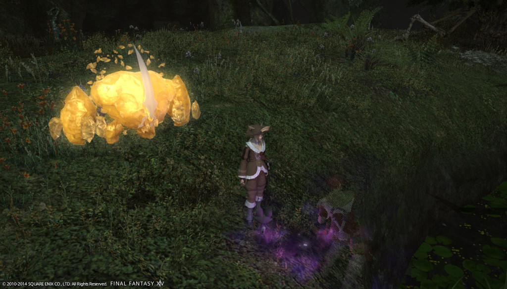 ffxiv_20140201_142957_20140201_c08