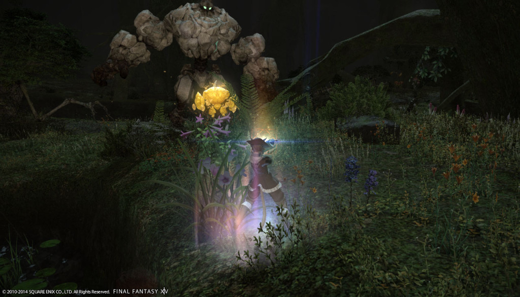 ffxiv_20140201_143006_20140201_c09