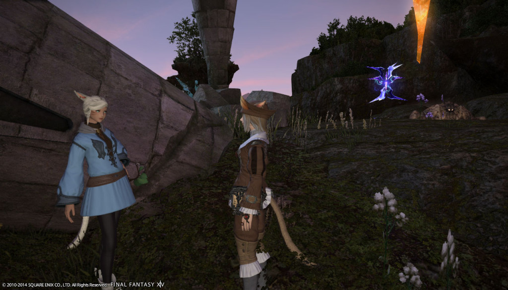 ffxiv_20140201_171631_20140201_e04