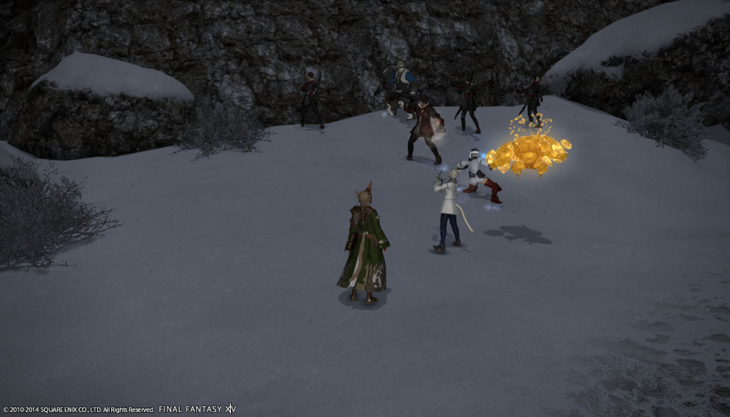 ffxiv_20140216_161652_20140216_a07