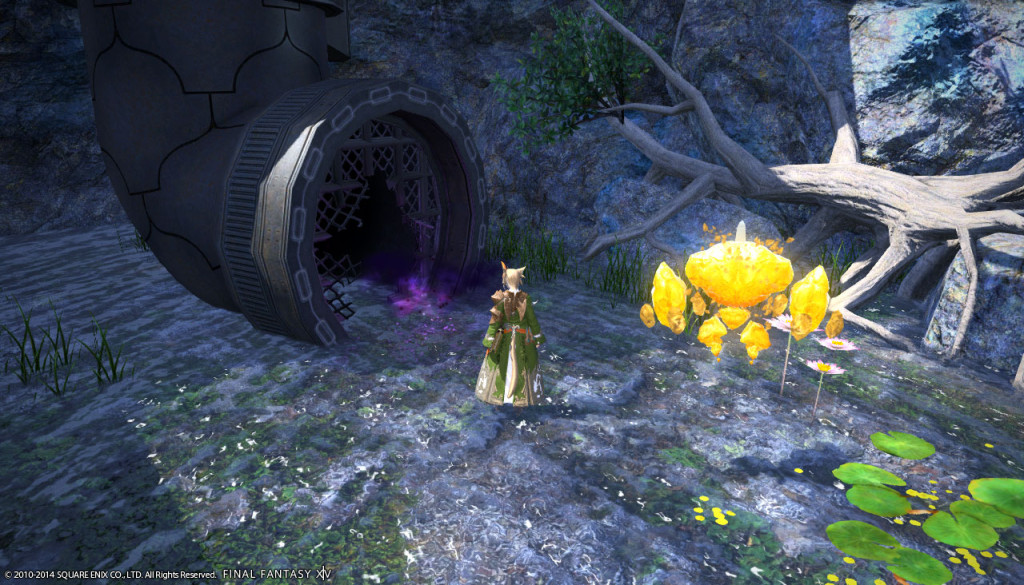 ffxiv_20140216_165113_20140216_a11