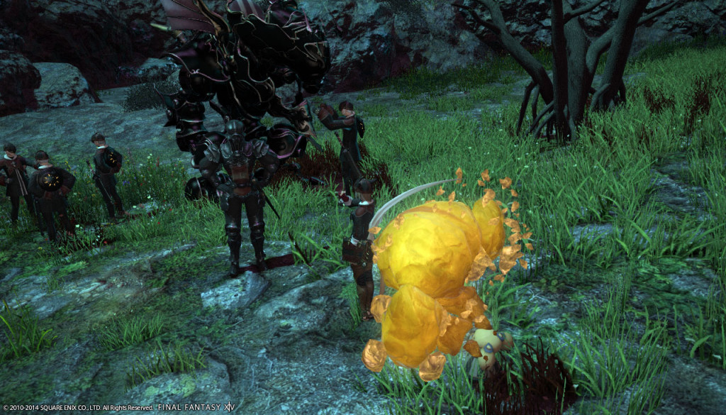 ffxiv_20140220_215111_20140220_a02