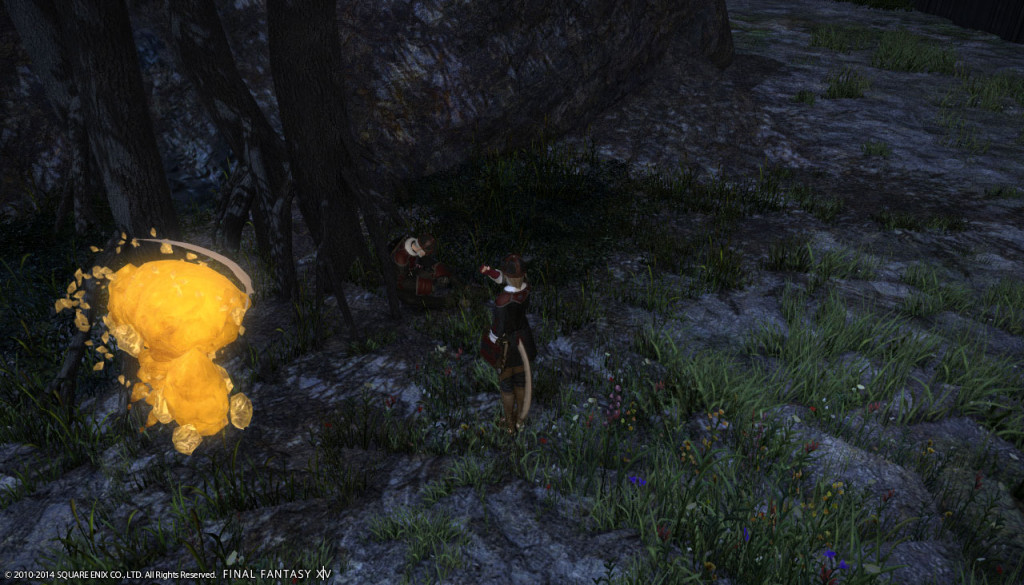 ffxiv_20140220_231023_20140220_a21