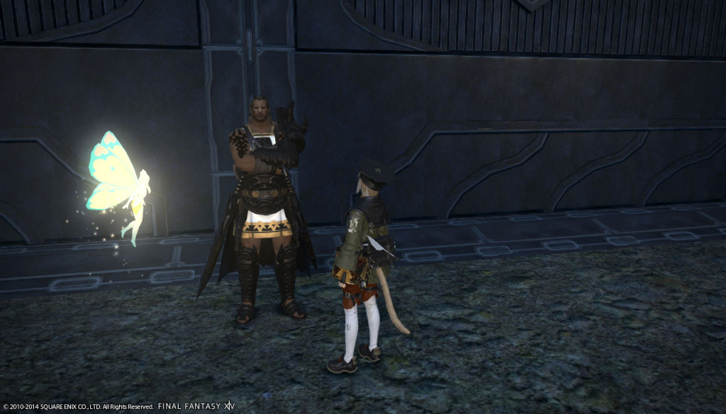 ffxiv_20140222_131655_20140222_c01