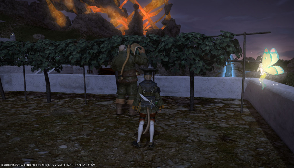 ffxiv_20140223_152343_20140223_b08