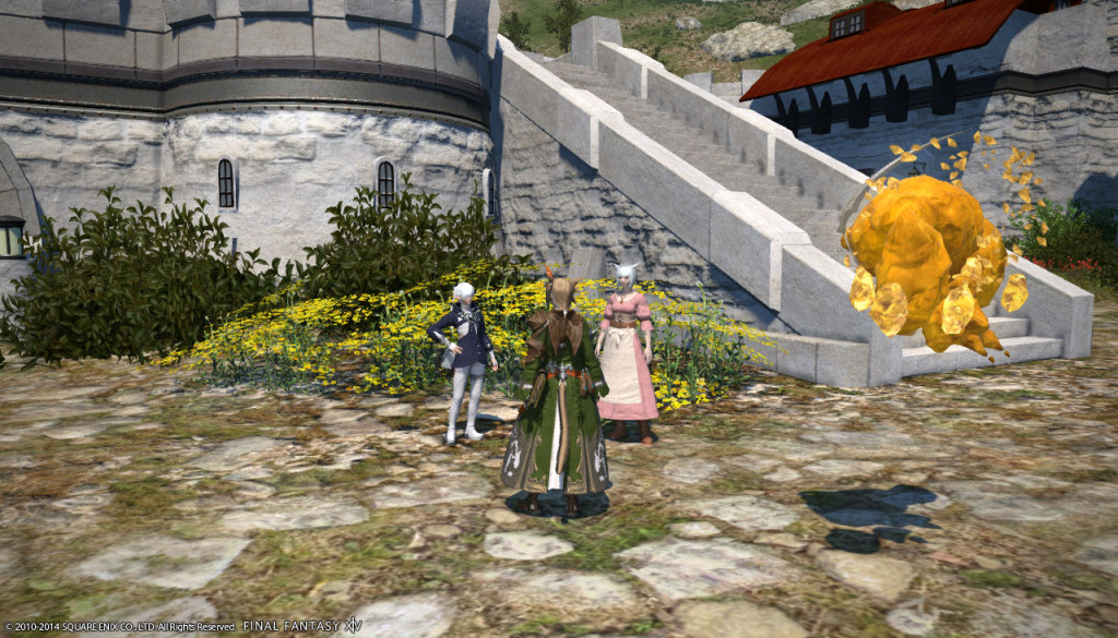 ffxiv_20140223_153646_20140223_b12