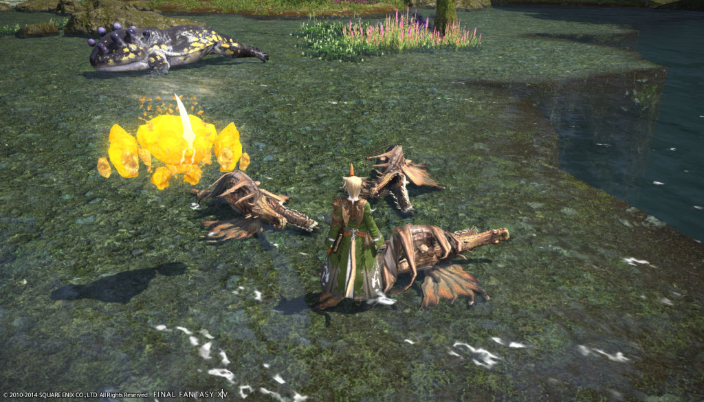 ffxiv_20140223_155046_20140223_b14