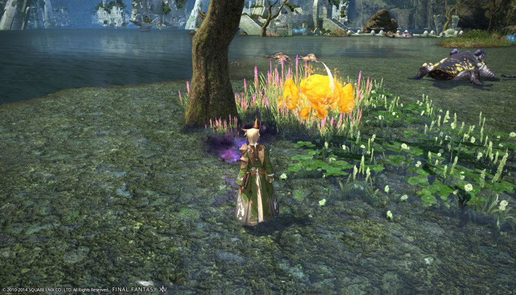 ffxiv_20140223_155108_20140223_b15
