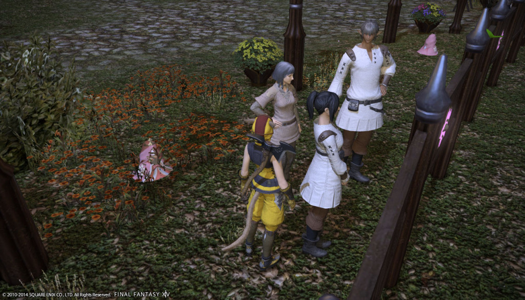 ffxiv_20140301_171306_20140301_a04