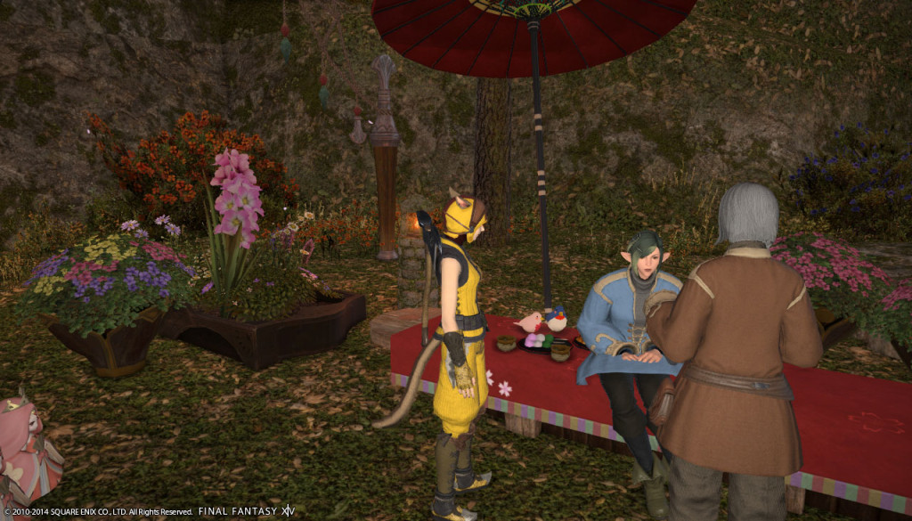 ffxiv_20140301_171602_20140301_a05