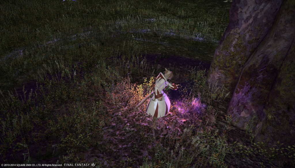 ffxiv_20140309_145712_20140309_a06