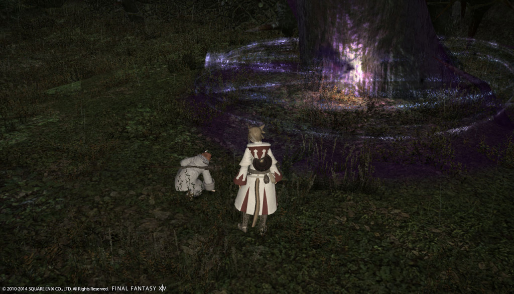 ffxiv_20140309_150807_20140309_a07
